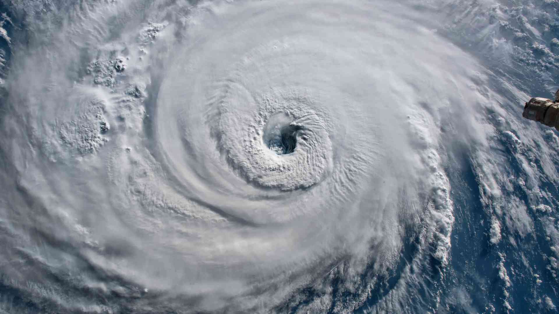 Hurricane Season + Custody in NC