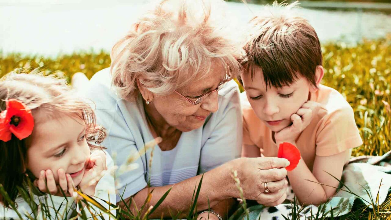 Protect your grandchildren | The Alexander case