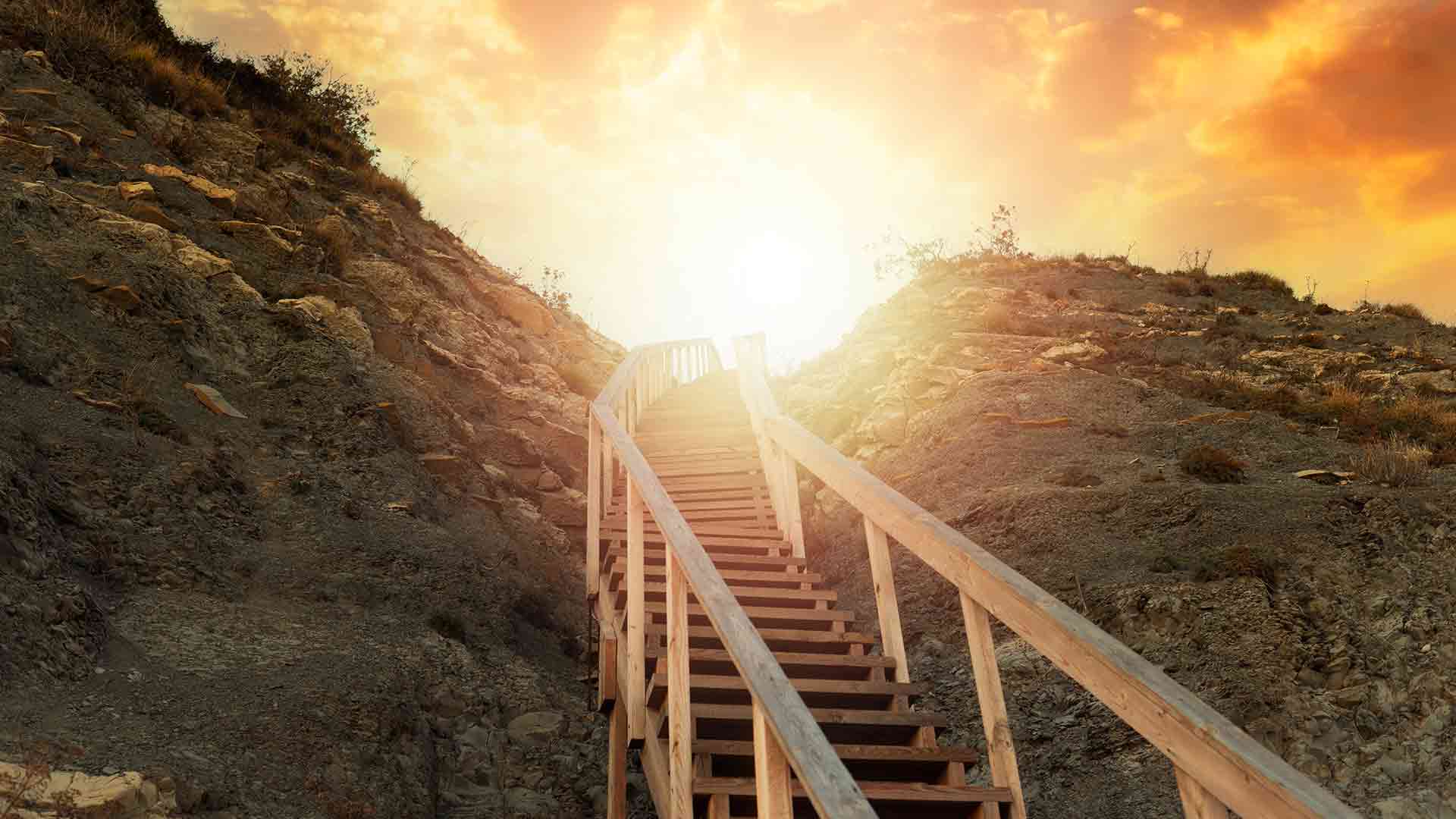 strategy that covers both the courtroom and the trust document